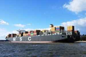 Msc flavia